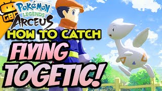 Pokémon Legends Arceus  How To Catch The Flying Togetic [upl. by Gusella]