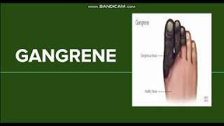 Gangrene Dry Wet and Gas Gangrene [upl. by Eberhart]