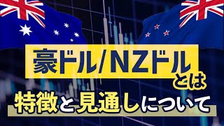 豪ドルNZドルとは！？特徴と見通しについて [upl. by Ees]