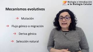 85 Biología celular Mecanismos evolutivos [upl. by Philo]