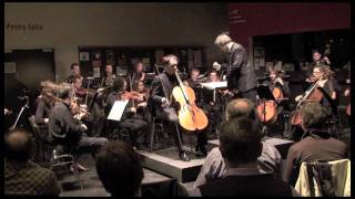 Haydn Cello Concerto No 1 3 Allegro molto  live in concert [upl. by Eelatsyrc732]