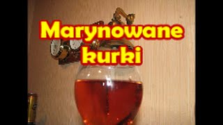 Marynowane kurki  Kwestia Smaku [upl. by Shuma239]