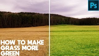 Photoshop Tutorial  How To Make Grass More Green In Photoshop [upl. by Ewer485]