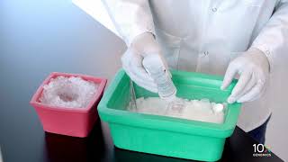 Visium Tissue Preparation Protocol  Embedding Frozen Tissue in OCT [upl. by Muriel]