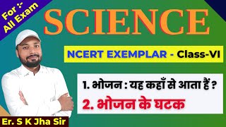 SCIENCE  NCERT EXEMPLAR CLASS  VI  DAY 1  By Er SK Jha [upl. by Shrier]