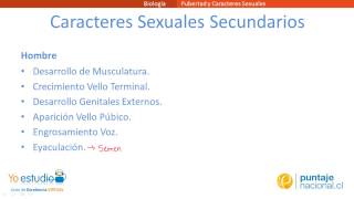 Pubertad y Caracteres Sexuales [upl. by Persas]