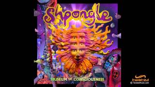 Shpongle  Museum of Consciousness FULL ALBUM [upl. by Skolnik]