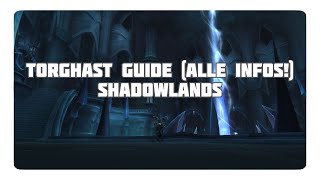 WoW Shadowlands Guide für Torghast [upl. by Anna-Diana]