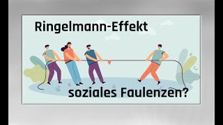 Ringelmann Effect  soziales Faulenzen [upl. by Okimuy743]