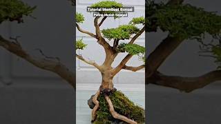 Make a bonsai tree for aquarium using artificial plants aquariumdecoration bonsaiaquascapeshorts [upl. by Dom]