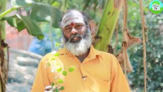 அஷ்டசூரணம் பயன்கள்  Benefits of Ashta chooranam [upl. by Jenna]