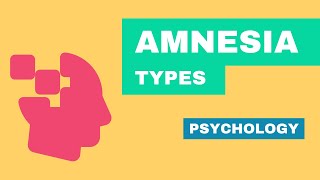 Types of amnesia psychology explainer [upl. by Anenahs]