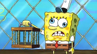 SpongeBob  Why Is It Trapped In A Cage [upl. by Annaeiluj984]