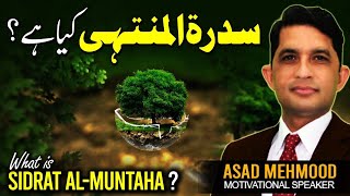 Sidratul Muntaha  Unveiling the Mysteries of the Lote Tree [upl. by Sabah]