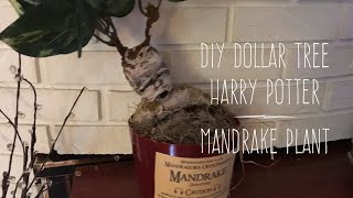 DIY Dollar Tree Harry Potter Mandrake Plant Fourth in the Series [upl. by Dammahum]