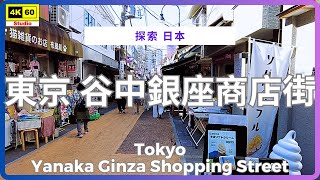 東京 谷中銀座商店街 4K  Tokyo  Yanaka Ginza Shopping Street  DJI Pocket 2  20241104 [upl. by Llenram]