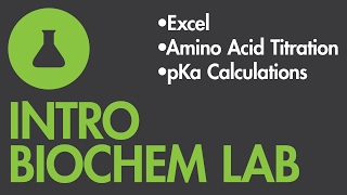 Calculating pKas for an Amino Acid Titration Using Excel [upl. by Eleira674]