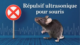 Bruit Répulsif pour Souris Son ultrasonique Non compatible avec iPhone [upl. by Rebmetpes787]