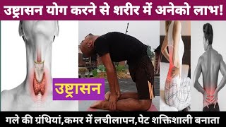 उष्ट्रासनUstrasana BenefitsBaba Ramdev UstrasanaVijay Yogasan [upl. by Beichner853]