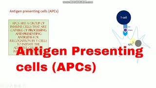 Antigen Presenting Cells APCs ll Xgene and ProteinX [upl. by Leia678]