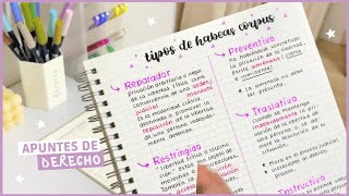 ¿Cómo hago mis apuntes de Derecho  Haz un apunte conmigo 🌿📝 [upl. by Breana]