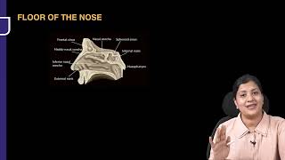 ENT  RHINOLOGY RAPID REVISION FMGE INICET NEET PG [upl. by Niala]