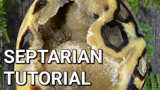 Septarian Tutorial [upl. by Mackenie]