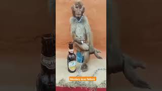 Monkey sad moment  monkey Smoking 🚭🚬Monkey amp wine  monkey is nost monkey queen 👑 monkey ill😱 [upl. by Stephine604]