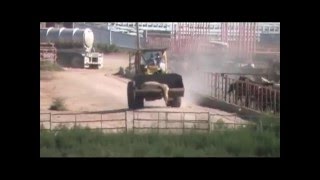 The Beltex Slaughter Horse Feedlot in Morton TX [upl. by Suzann]