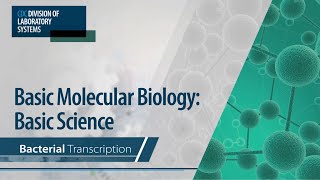 Basic Molecular Biology Basic Science – Bacterial Transcription [upl. by Betti]