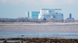 Hinkley Point C timeline  Energy Live News [upl. by Marin356]