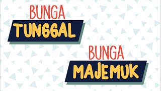 Bunga Tunggal dan Bunga Majemuk [upl. by Amrita]