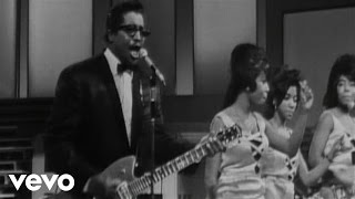 Bo Diddley  Hey Live [upl. by Kendre]