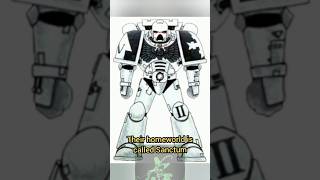 Obscure Space Marine Chapters The White Templars warhammer40k spacemarines [upl. by Jann171]