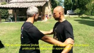 Marcello Sidoti free push hands basics [upl. by Hcaz]