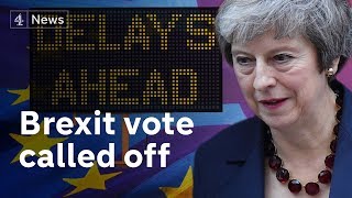 Fury as Theresa May delays Brexit vote [upl. by Rysler]