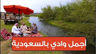 أجمل وادي في المملكة العربية السعودية [upl. by Putscher]