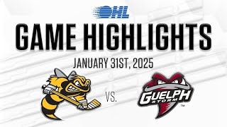 OHL Highlights Sarnia Sting  Guelph Storm Jan 31 2025 [upl. by Nihcas]