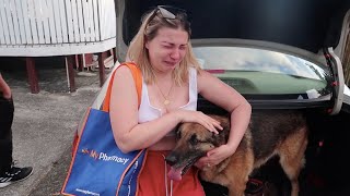 Saying Goodbye to Our Dog  Very Emotional [upl. by Emyam358]