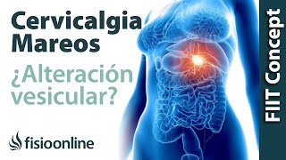 Tratamiento para dolor cervical con mareos provocado por una alteración de la vesícula biliar [upl. by Yhtuv]