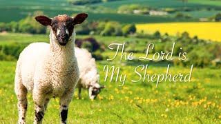 Psalm 23 The Lord Is My Shepherd [upl. by Leagiba]