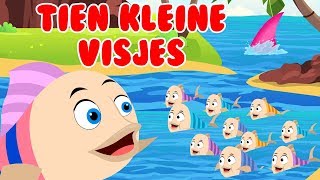 Tien kleine visjes  Nederlandse kinderliedjes [upl. by Orferd]