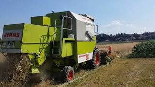 Claas dominator 68s [upl. by Jaquenetta]