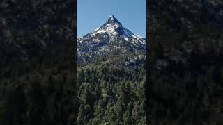 Snow and pine trees on mountain aerial view🏔️🏔️ [upl. by Assadah]