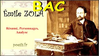 Émile Zola  Thérèse Raquin Analyse [upl. by Sihonn]