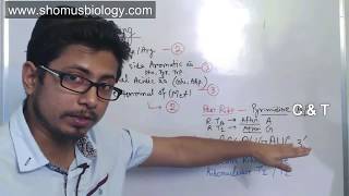 Peptide sequencing problem  CSIR NET analytical problems for Part C [upl. by Carrel]