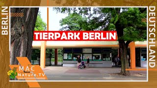 Tierpark Berlin [upl. by Ehsom]