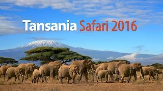 Tansania Safari 2016 [upl. by Bergstein860]