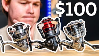 Best Spinning Reel for 100 in 2024  Nasci VS Exceler LT VS Fierce IV [upl. by Martens]