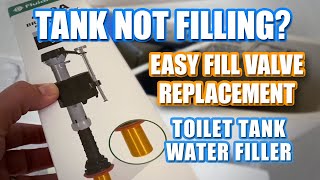 Toilet Tank Not Filling With Water Easy Fill Valve Replacement [upl. by Ddal]